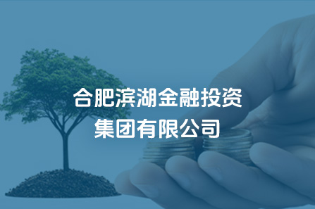 合肥万象城awc888金融投资集团有限公司