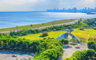 合肥万象城awc888国家森林公园
