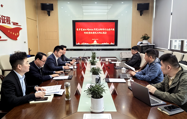 纪审联动压实整改责任，，，，，，，，精准施策激活增效动能